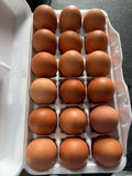 18 Pack Eggs