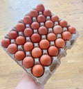 Egg Flat