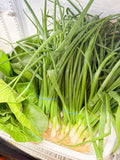 Bok Choy