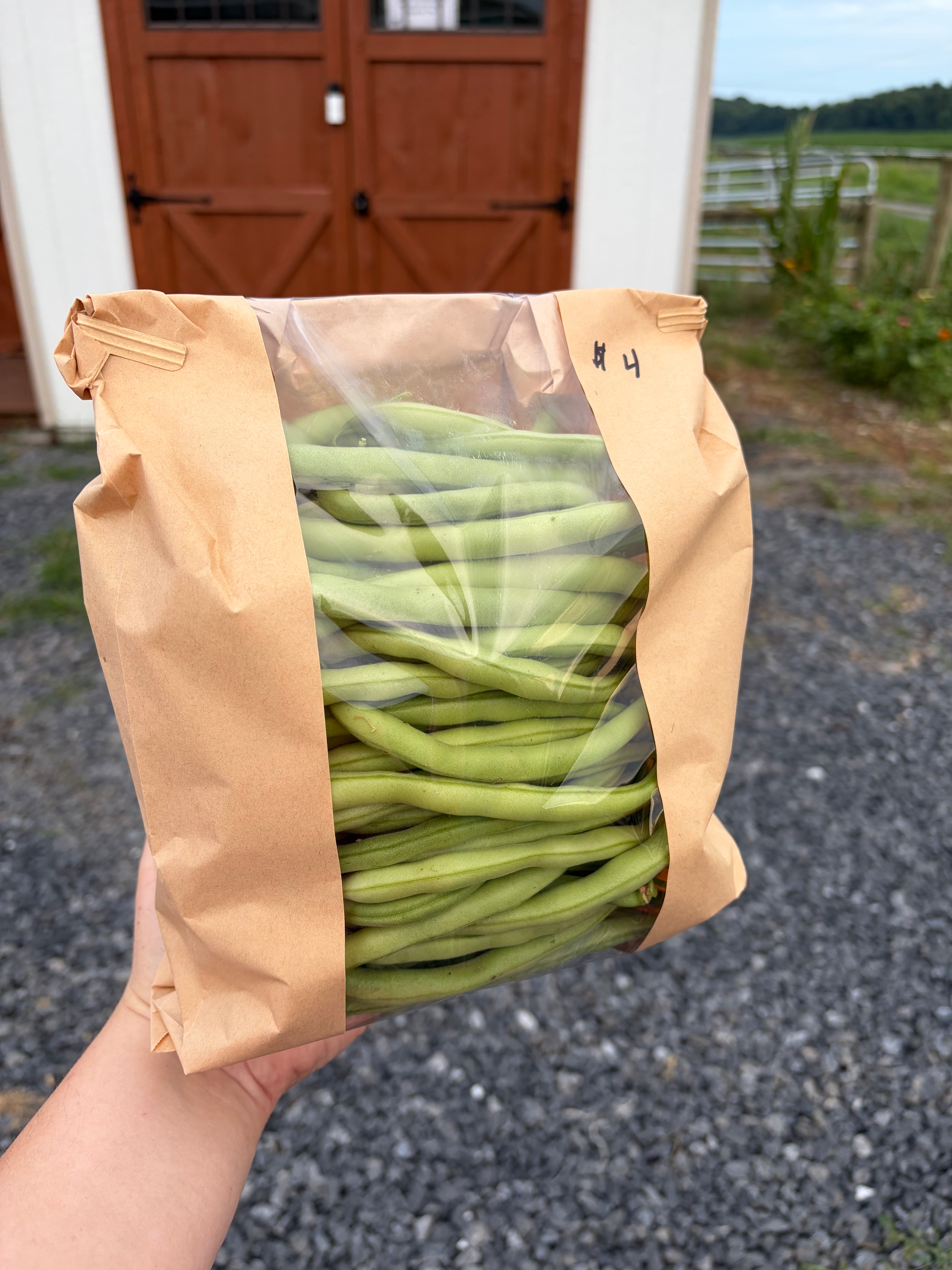 Green Beans