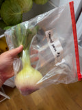 Uncured Onion