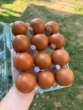 Dozen Eggs