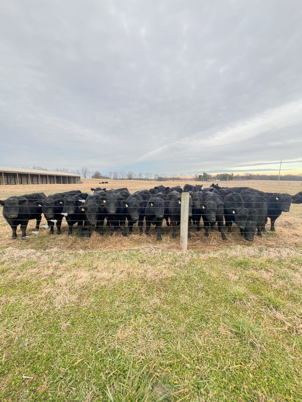 Donuts for the boys & girls